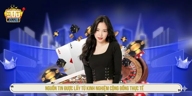 Thông tin trên Versapoint.nl được tổng hợp và đối chiếu